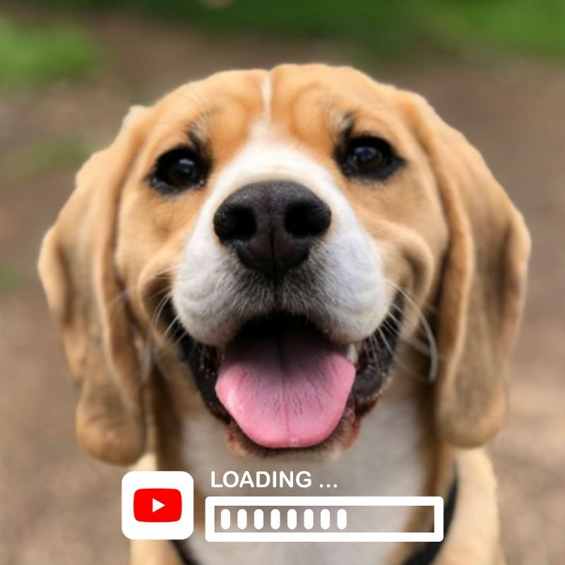 Imagem de "Vídeo em Produção" para o Pipi Block®. Demonstração completa do produto em breve.